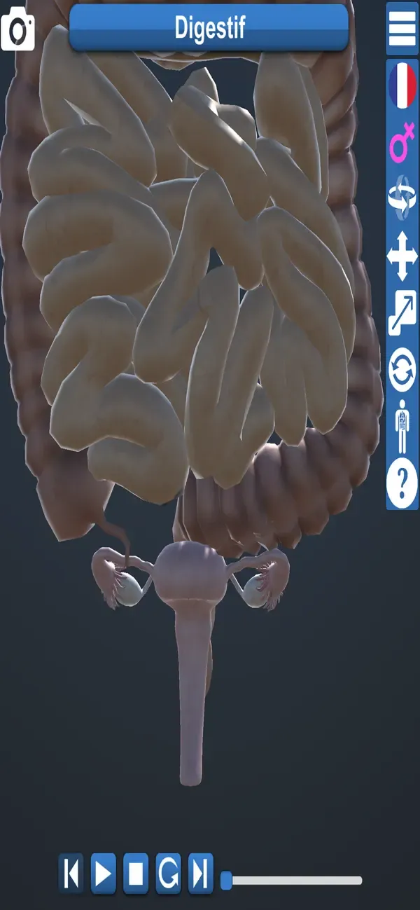 Anatomie Éducative 3D — 3
