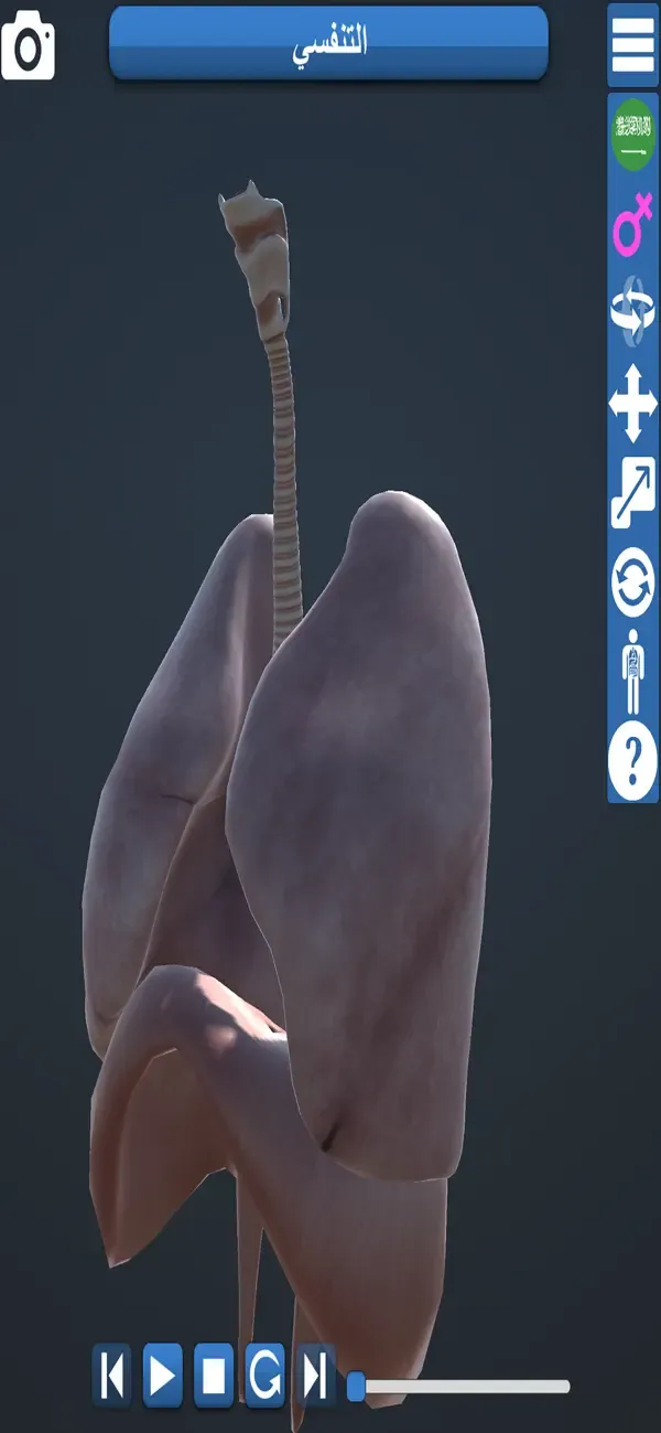 Anatomie Éducative 3D — 5