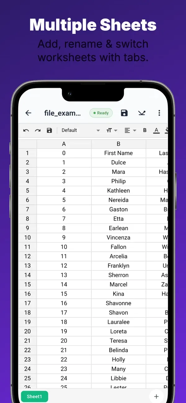 Glazr XLSX & CSV Datei-Editor — 3