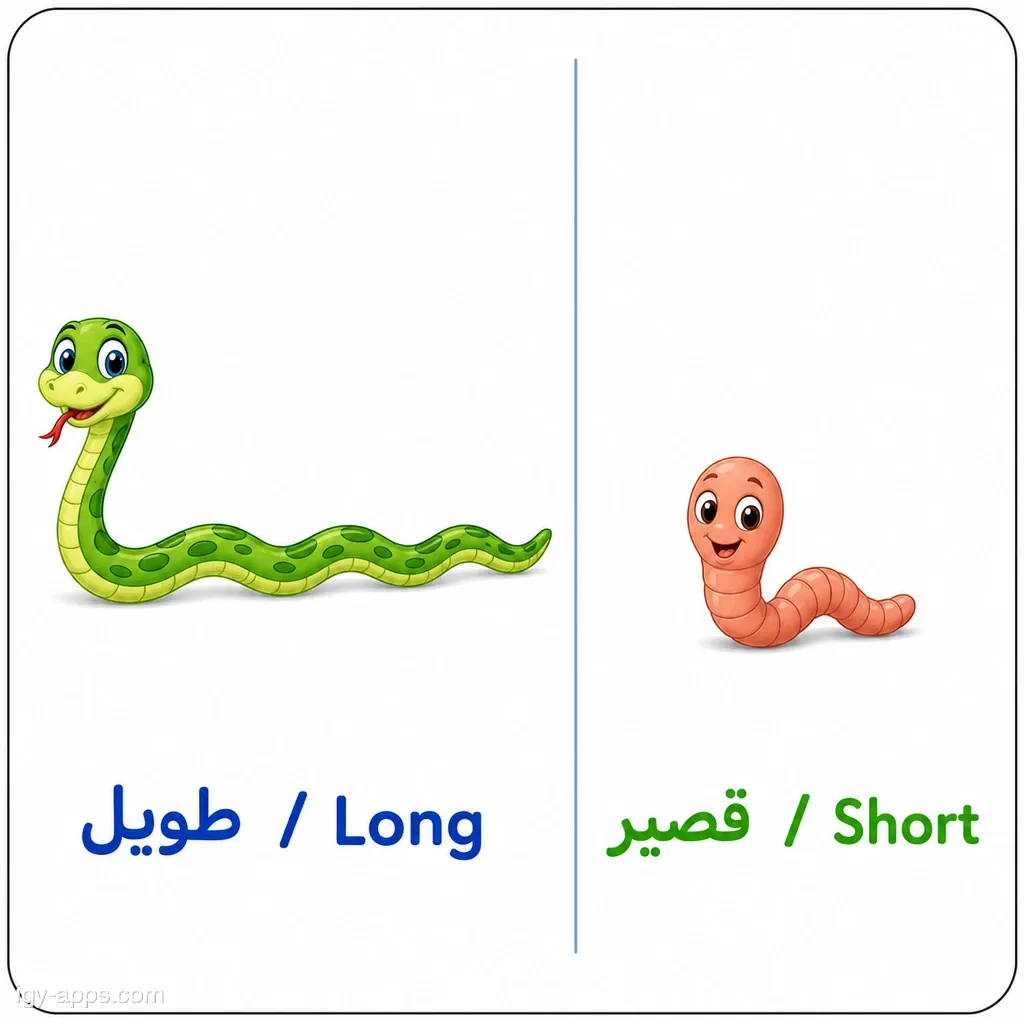 طويل ↔ قصير | Long ↔ Short