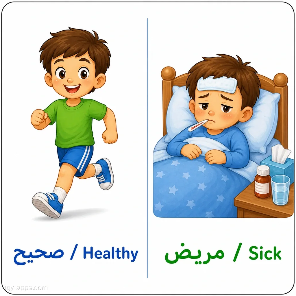 صحيح ↔ مريض | Healthy ↔ Sick