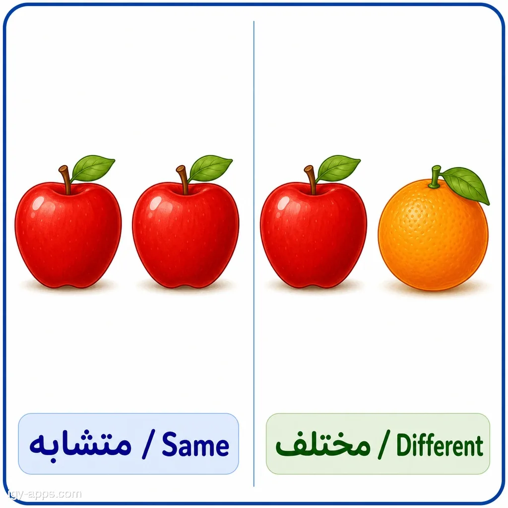 متشابه ↔ مختلف | Same ↔ Different