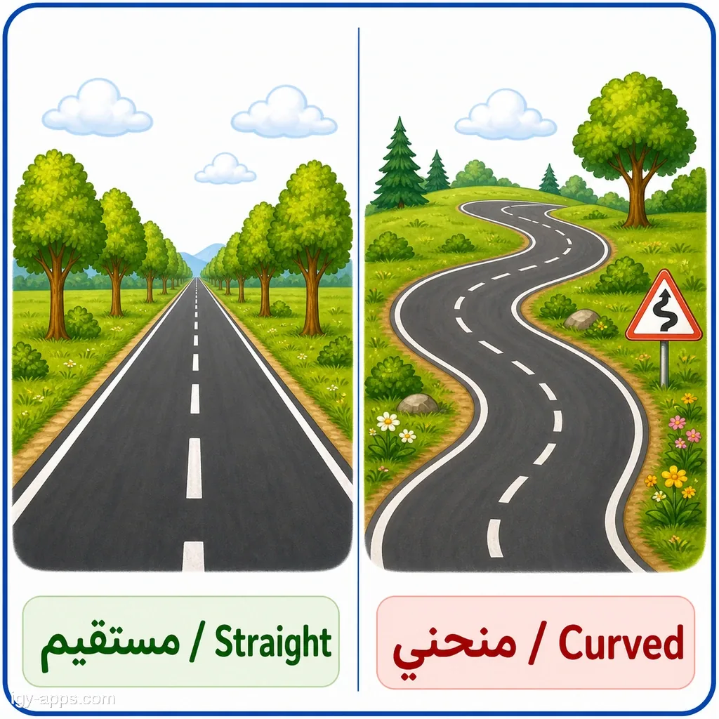 مستقيم ↔ منحني | Straight ↔ Curved