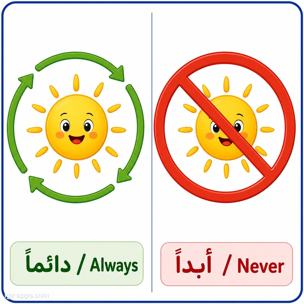 دائماً ↔ أبداً | Always ↔ Never